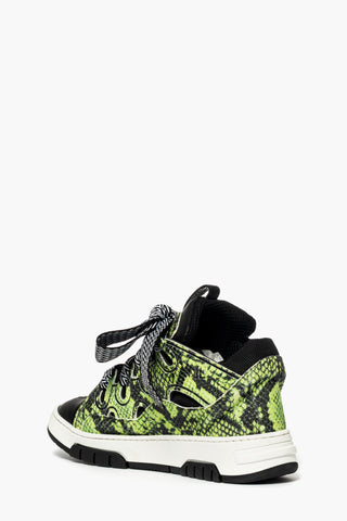 Cambridge anaconda green sneakers