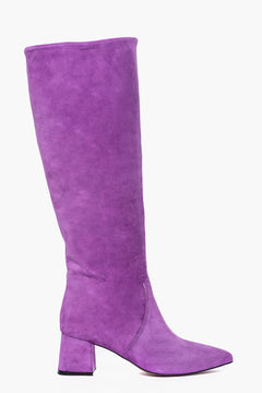 Viola