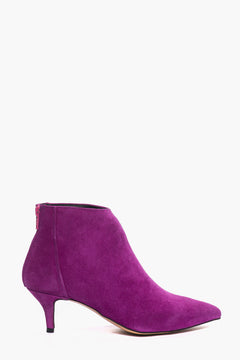Viola